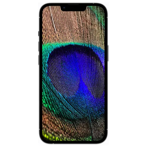 Apple iPhone 13 Pro Max 6 GB/ 512 GB/ Single SIM/ Alpine Green  photo 4