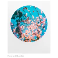 Фотобумага для Polaroid 600 (8шт.) Цветная/ Разноцветный photo 8