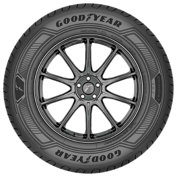 Шины GoodYear EfficientGrip 2 SUV 235/ 55 R19 105V Летние/ Внедорожник photo 3
