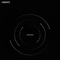 Настольная плита Ardesto ICS-B217 Индукционная/ Черный photo 4
