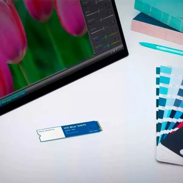 SSD Western Digital Blue SN570 500 ГБ M.2 photo 5