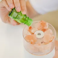 Увлажнитель воздуха Humidifier Salt Mine JW-03 Паровой/ Белый photo 2