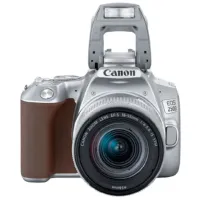 Cameră foto Canon EOS 250D Kit CMOS/ Silver photo 4