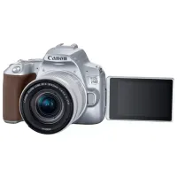 Cameră foto Canon EOS 250D Kit CMOS/ Silver photo 5