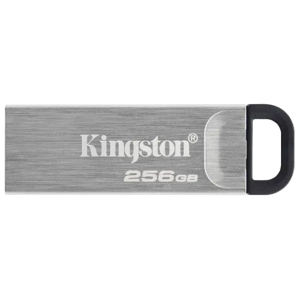 Kingston DataTravel Kyson 256 GB Silver photo 2