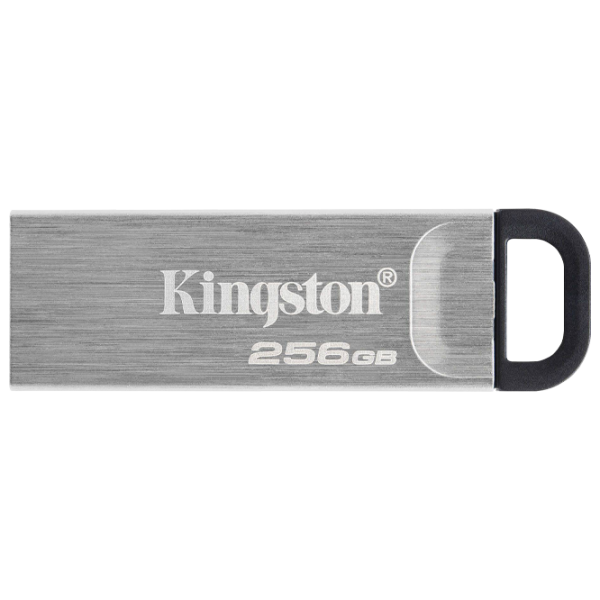 Kingston DataTravel Kyson 256 GB Silver photo 2