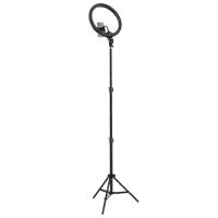 Trepied cu lampă Baseus CRZB12-B01 304 mm Black photo 2