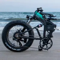 Bicicletă electrică FIIDO M1 20" Munte/ Black photo 8