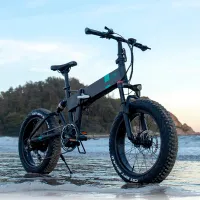 Bicicletă electrică FIIDO M21 20" Munte/ Black photo 6