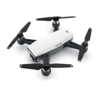 Dronă DJI Spark Personal / White photo 8
