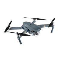 Dronă DJI Mavic Pro Profesional / Gray photo 8