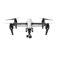 Dronă DJI Inspire 1 V2.0 Personal / White photo 9