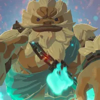  The Legend of Zelda Game for Nintendo Switch photo 5