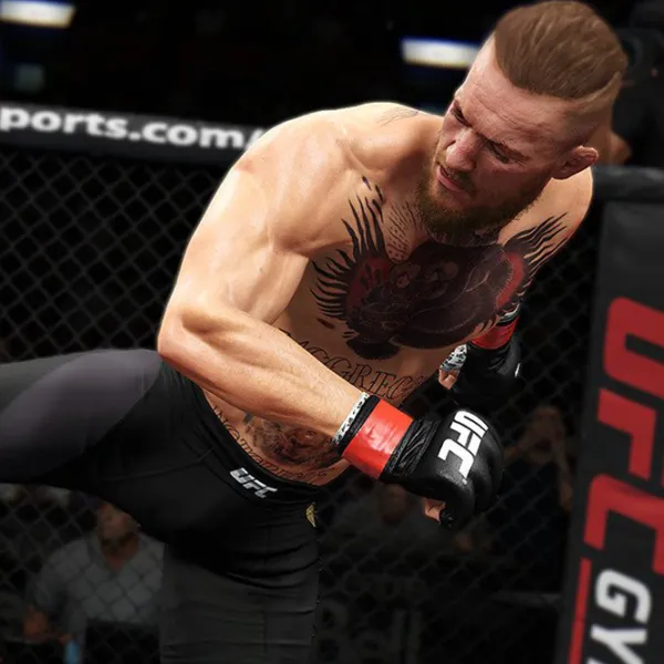  UFC 2 Game for PlayStation 4 photo 3