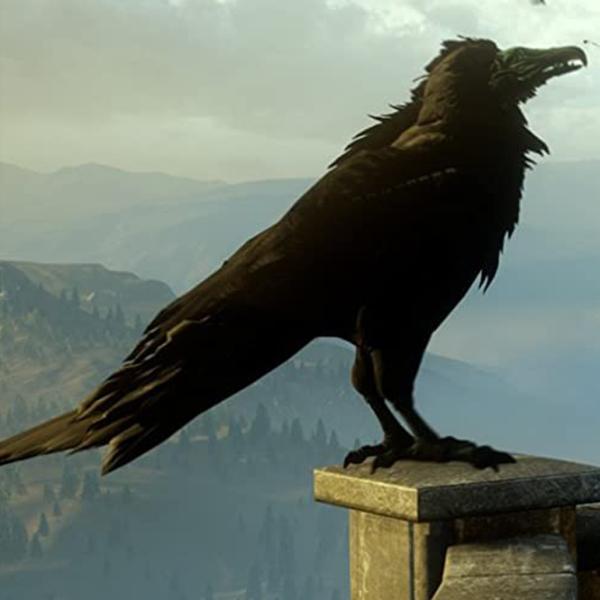  Dragon Age Inquisition Game for Xbox One photo 7