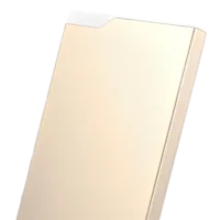 Power Bank Rock Type C 5000 mAh/ Gold photo 2