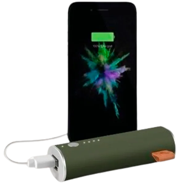 Power Bank Fresh 'N Rebel 1 Port 3000 мАч/ Зеленый photo 4