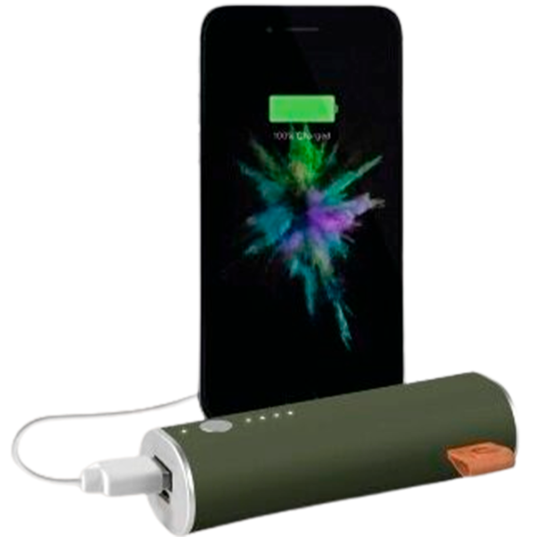 Power Bank Fresh 'N Rebel 1 Port 3000 мАч/ Зеленый photo 4