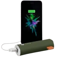 Power Bank Fresh 'N Rebel 1 Port 3000 мАч/ Зеленый photo 4