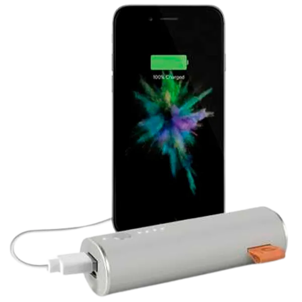 Power Bank Fresh 'N Rebel 1 Port 3000 мАч/ Grey photo 4
