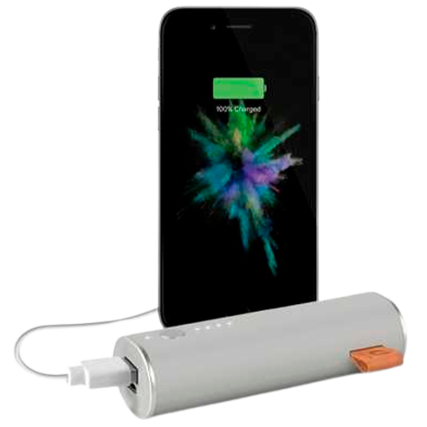 Power Bank Fresh 'N Rebel 1 Port 3000 мАч/ Grey photo 4