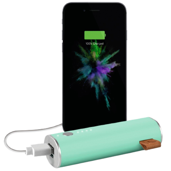 Power Bank Fresh 'N Rebel 1 Port 3000 мАч/ Зеленый photo 2