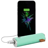 Power Bank Fresh 'N Rebel 1 Port 3000 мАч/ Зеленый photo 2