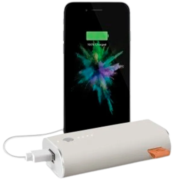 Power Bank Fresh 'N Rebel 1 Port 6000 мАч/ Серый photo 3