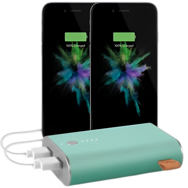 Power Bank Fresh 'N Rebel 2PB3000PT 9000 mAh/ Green photo 4