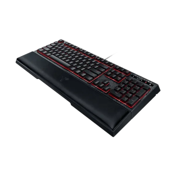 Tastatură Razer Ornata Chroma Destiny 2 Cu fir/ Black photo 3