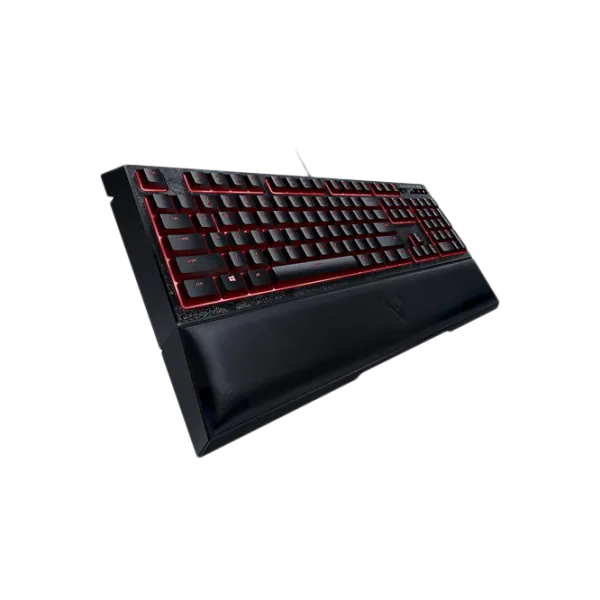 Tastatură Razer Ornata Chroma Destiny 2 Cu fir/ Black photo 4