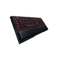 Клавиатура Razer Ornata Chroma Destiny 2 Проводная / Черный photo 4