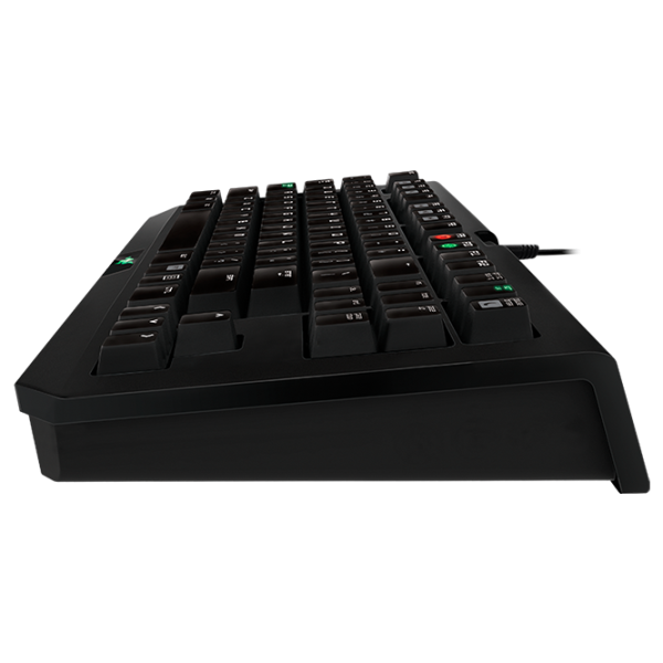 Tastatură Razer BlackWidow Tournament 2014 Cu fir / Black photo 5