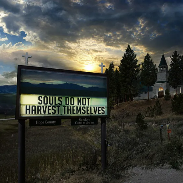  Far Cry 5 Game for PlayStation 4 photo 7