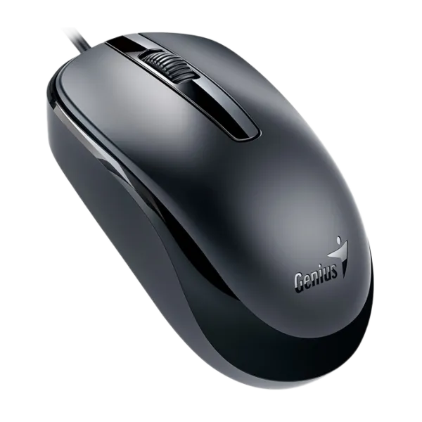 Mouse Genius DX-100X USB/ Black photo 2