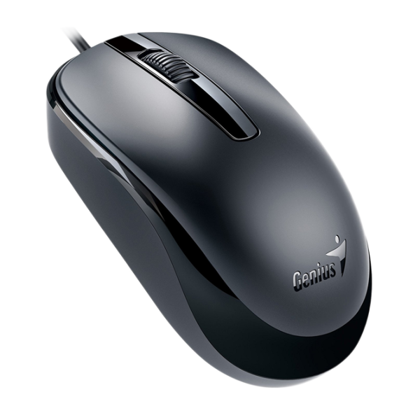 Mouse Genius DX-100X USB/ Black photo 2