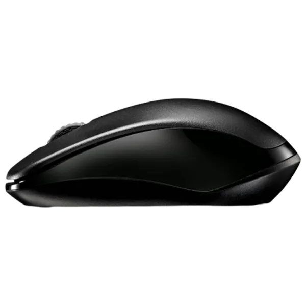 Mouse RAPOO 1620 Black photo 5