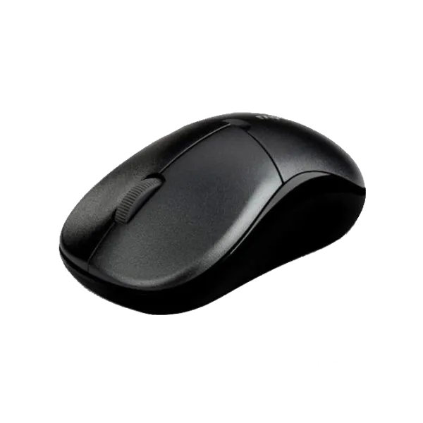 Mouse RAPOO 1090P Pro USB/ Black photo 3