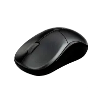 Mouse RAPOO 1090P Pro Black photo 3