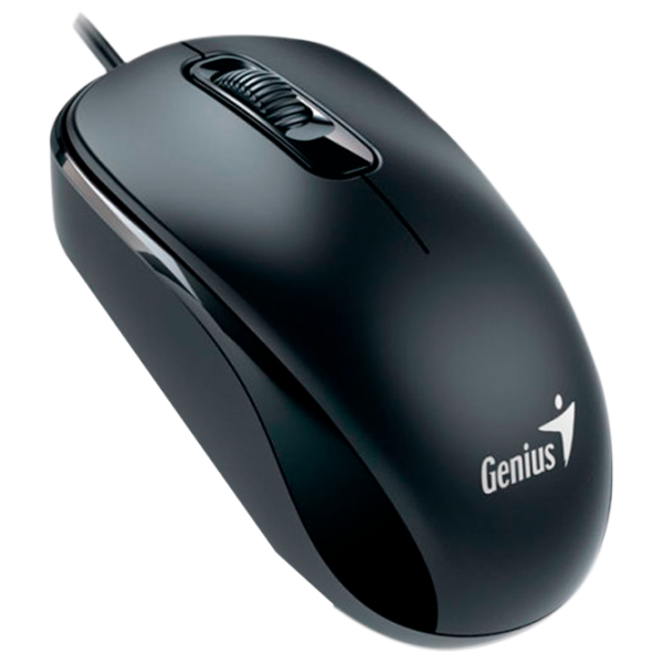 Mouse Genius DX-110 USB/ Black photo 2