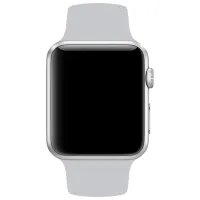 Ремень Apple Watch Sport Band Фторэластомер/ 42 mm/ Серебристый photo 3