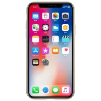 Чехол для смартфона Apple iPhone X Nillkin/ Back/ PC/ Золотой photo 3