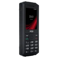Ergo F245 Strength Черный Черный / Dual SIM photo 4