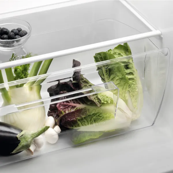Frigider Electrolux EJ2801AOW2 cu congelator sus 259 l / 159 cm / White photo 5
