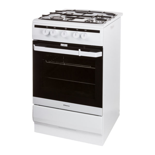 Aragaz Hansa FCMW53000 Combinată/ White photo 2