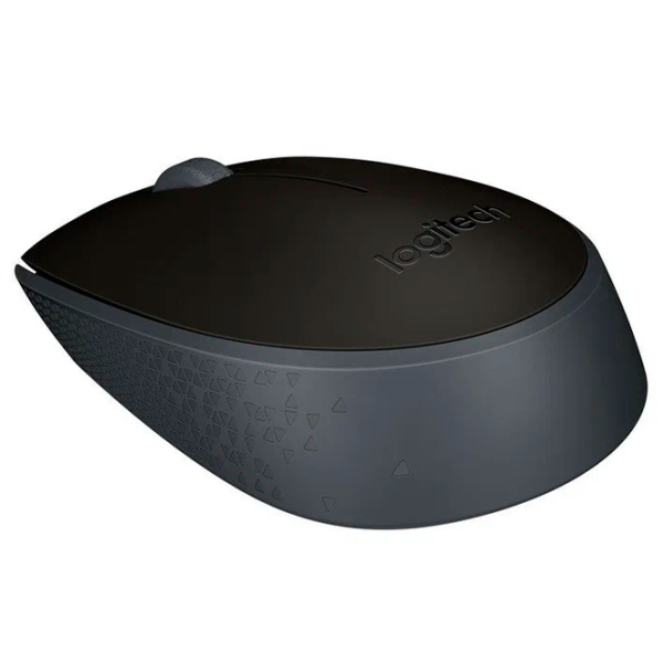 Mouse Logitech M171 USB/ Black photo 2