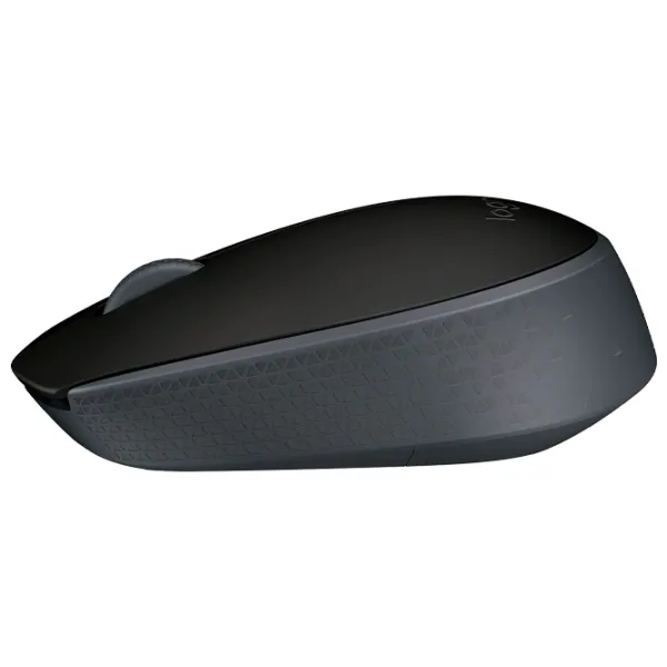 Mouse Logitech M171 USB/ Black photo 3