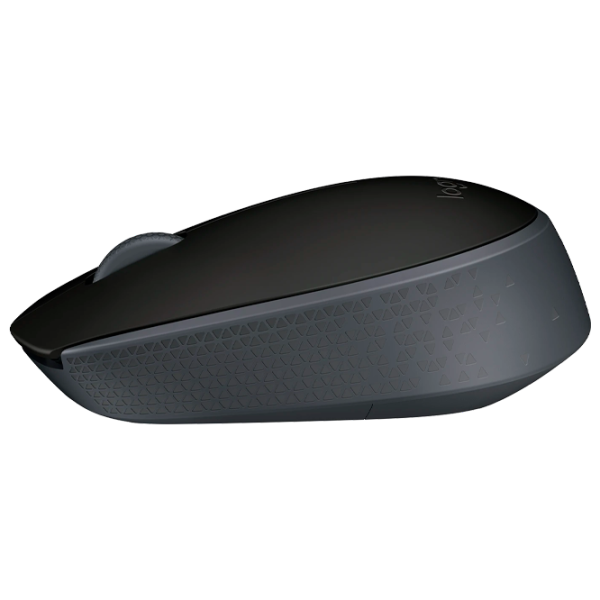 Mouse Logitech M171 USB/ Black photo 3