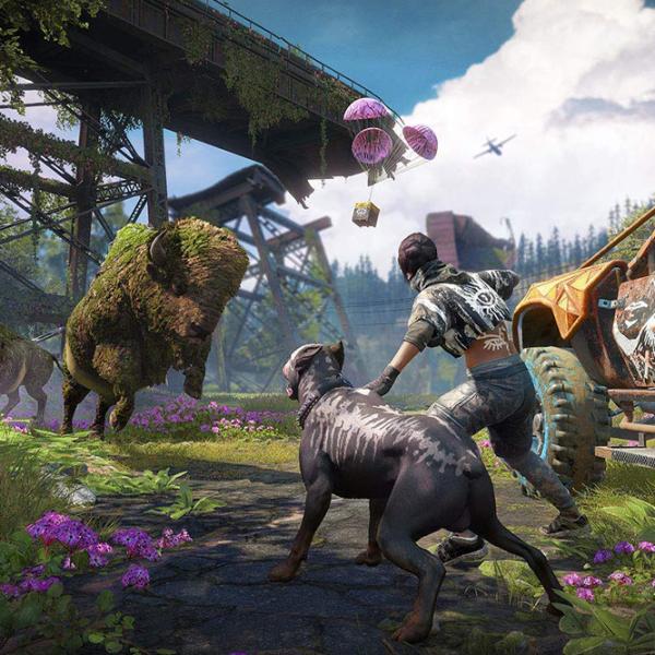 Far Cry New Dawn Game for PlayStation 4 photo 6