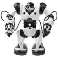 Robot Rastar Robone Black photo 3